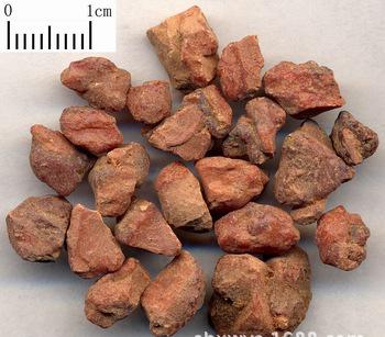 优质安息香/树脂类中药材白花榔/各种规格中药材批发/实图