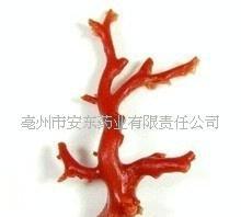 批发中药材珊瑚/红/珊瑚/珊瑚草支持验货(图)