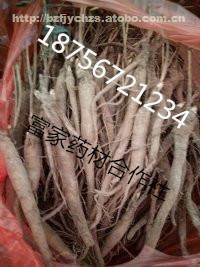 【赤芍苗现在价格】药材种苗,价格,厂家,供应商,亳州市谯城区富家中药材种植农民专业合作社 - 产品库 - 阿土伯网移动版