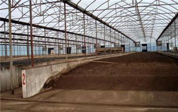 农村创业除了农产品深加工、药材种植、生态园,原来还有它