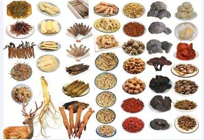 麝香、人参等名贵中药材,中药公司怎么获得