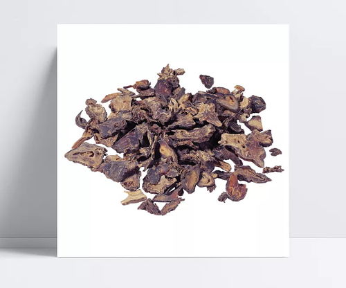 川乌药材摄影 凝聚传统与自然的魅力