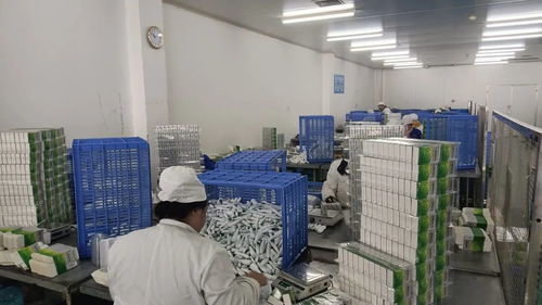 修文县铆足“虎劲”推动医药产业高质量发展