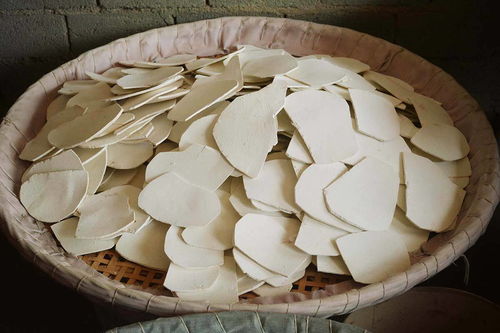 深山采药人 二十载坚守，争议中的生计与寂寥