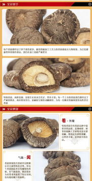 太极养生医馆壹品斋100g精品香菇 养生食补优选，提升免疫力之选