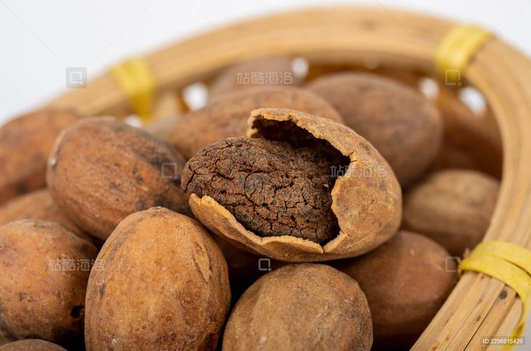 香榧子 古老中草药的现代价值与养生智慧