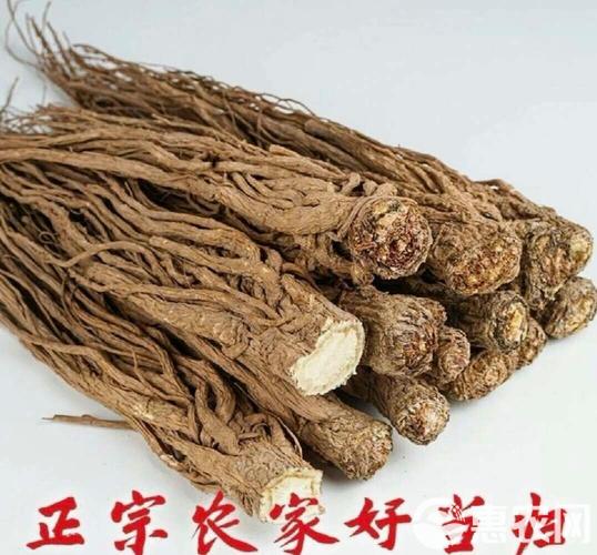 道地好当归，源自岷县农户家